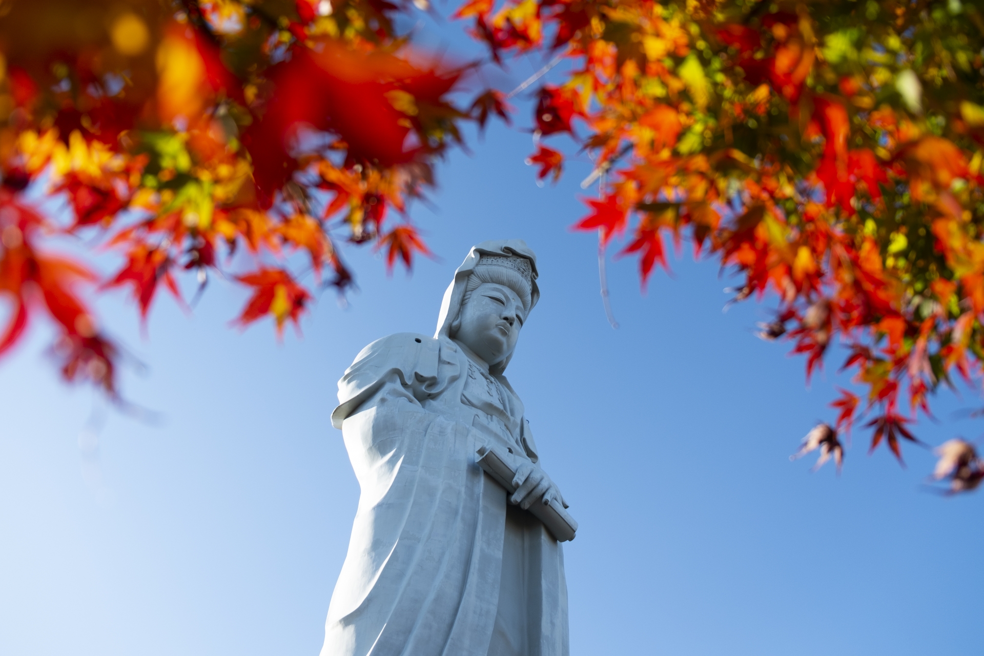 株式会社TAKEYA<br />
株式会社ピオーネ